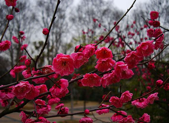 圖片關(guān)鍵詞 圖片關(guān)鍵詞